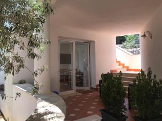 L’Ulivo - 4