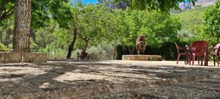 Alojamiento Turístico El Pantano de Cazorla - Coto Ríos - 2