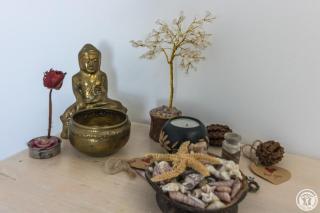 COSY LODGE TOULOUSE - 3