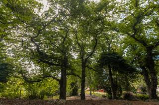 Mialon rural apartment: haven of calm in nature - La Esperanza - 3