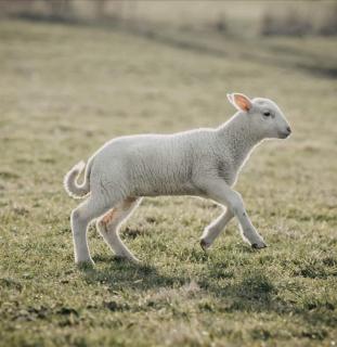 Hof Schumacher - Krüzen - 2