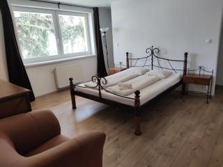 Attic Parkview Apartment - 6