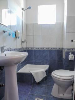Casa Blanca din COSTINESTI - 1
