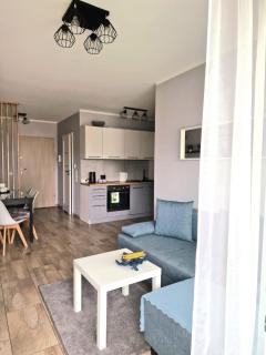 Apartament z basenem i ogródkiem Baltic Sun A17 - Sztutowo - 8