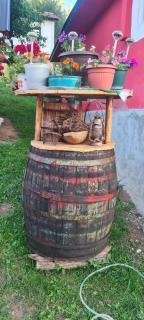 Vila Medo - Brdo - 8