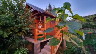 Holiday Home SAJRA - 5