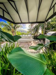 Red Coconut Self-Catering - Mahe - 1