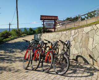 Apartment Valy - Free Bikes, Relaxing Terrace & Near Bled - Bled - 9