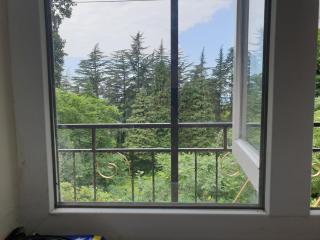 Green Paradise - Batumi - 1
