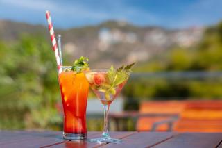 Suryavilas Luxury Resort & Spa - 2