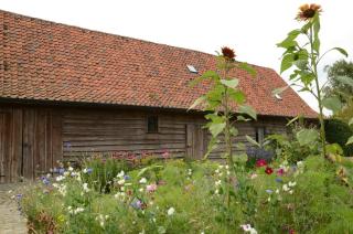 B&B De Hulst - Izegem - 6