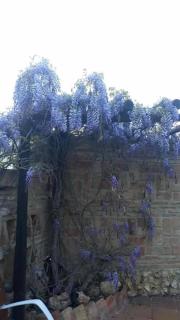 Casa Marquesa - 3