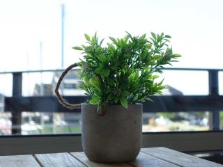 Apartment Les Marinas-3 by Interhome - Deauville - 6