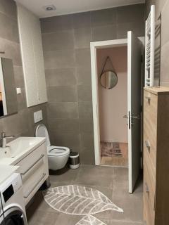 Apartman ''Silver fox'' Bjelašnica - Bjelašnica - 1