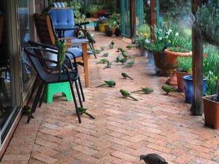Tweed Valley Lodge - Bridgetown - 6