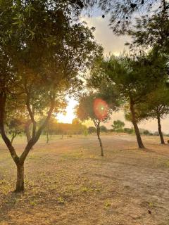 Agriturismo Tenuta Pozzello - Torre dell'Orso - 5