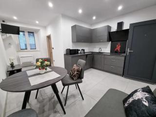 Apartman Julija 2 - Rijeka - 0