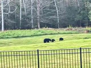 WOW New Spectacular Franconia Home - history - views - fire pit - hot tub - pool - grandeur - MUST SEE - Franconia - 3