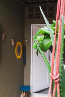 Tiny House - Pipa - 1