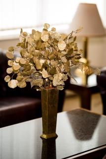 Park Hotel Sankt Peterburg - Plovdiv - 2