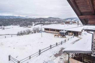 Ladinser Hof Kuschelecke - 5