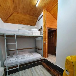 KALMul naturii, iureșul pădurii - Firiza - 6
