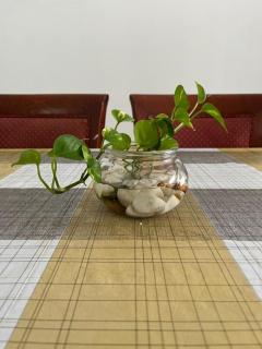 FNF Lakeville Seri Iskandar Homestay, Seri Iskandar, Perak. - Seri Iskandar - 6