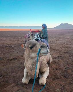 Bivouac ZAGORA - Zagora - 8