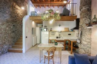 El Mas de Sant Vicenç - apartamentos rurales - Arsèguel - 4