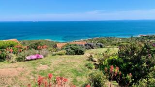 Maison 4 pièces, vue panoramique, piscine, climatisation, près de Palombaggia - 5
