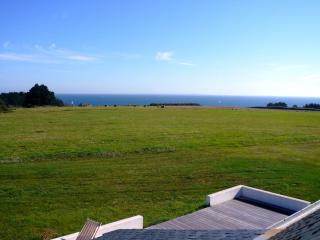 Maison à 200 m de la plage avec vue mer, terrasse, jardin, Wifi - FR-1-418-4 - Le Palais - 9