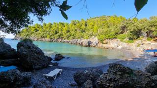 Dream House Capturing the Magic of Nature - 4