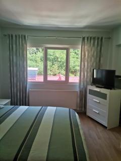 Montana Slănic - Slănic-Moldova - 5