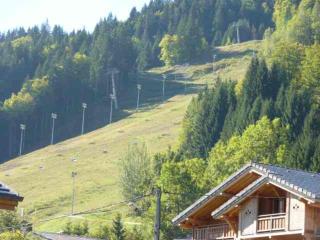 Studio Rénové avec Balcon, Proche Centre et Pistes à Morzine - FR-1-524-104 - Morzine - 2