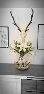 Corriegorm Cottage, Aviemore - 5
