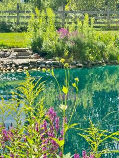 The Bella Ella Bed and Breakfast - Canandaigua - 4