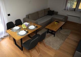 Apartman na brdu - Zlatibor - 1