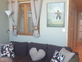 Superbe 3 pièces rénové pied des pistes Mont-Blanc - FR-1-181-2553 - Aime La Plagne - 7