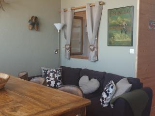 Superbe 3 pièces rénové pied des pistes Mont-Blanc - FR-1-181-2553 - Aime-la-Plagne - 0