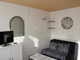 Studio 26m² lumineux, balcon sud, pied des pistes, 3-4 pers, commerces sur place - FR-1-181-2587 - Aime La Plagne - 9