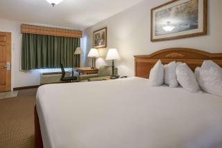 SureStay Hotel by Best Western Leesville - Leesville - 1