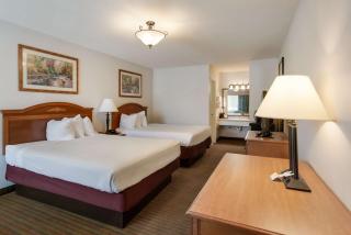 SureStay Hotel by Best Western Leesville - Leesville - 8