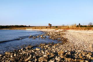 Apartments with a parking space Novigrad - 7142 - 5