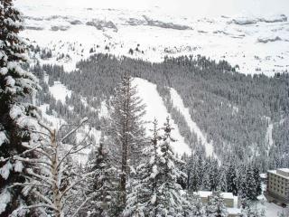 Appartement 6 pers. avec Terrasse | Wifi Gratuit | Proche des Pistes à Flaine Forêt - FR-1-425-137 - 8
