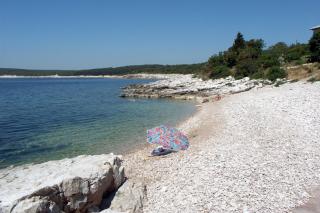 Apartments with a parking space Viskovici, Rasa - 14691 - 9