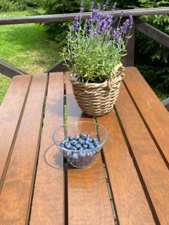 Lawendowy Domek TP - 2