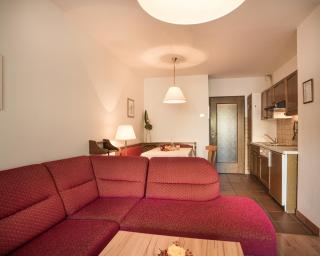 Appartementhaus Gastein inklusive Alpentherme gratis - 7