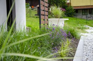 Hotel Alla Fonte - Arta Terme - 4
