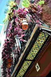 Typical Sevillan 2 bedroom unit - Seville - 7