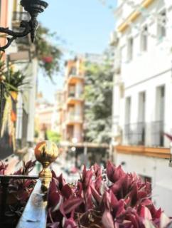 Typical Sevillan 2 bedroom unit - Seville - 6